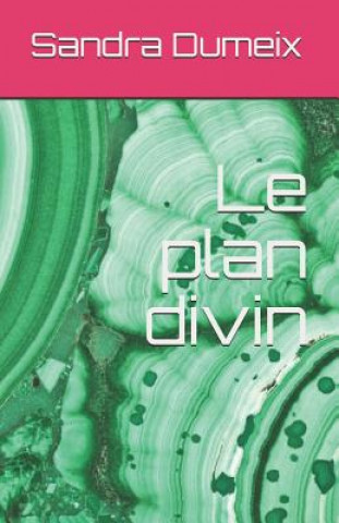 Kniha Le plan divin Sandra Dumeix