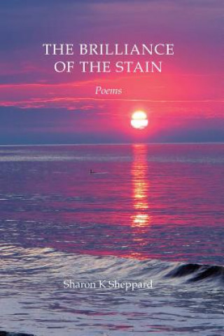 Carte The Brilliance of the Stain Sharon K Sheppard
