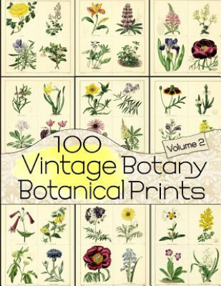 Kniha 100 Vintage Botany Botanical Prints Volume 2 C Anders