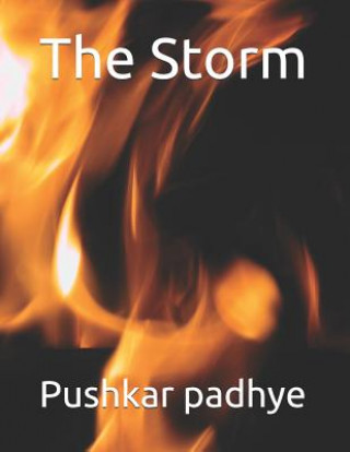 Knjiga The Storm Pushkar Padhye