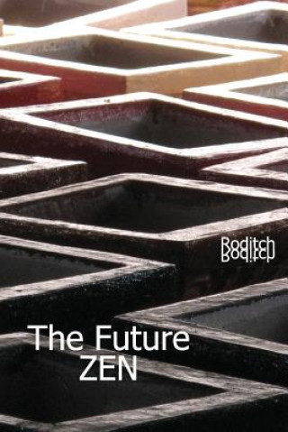 Knjiga The Future Zen Roditch Roditch