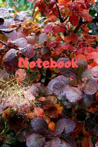 Carte Notebook: Notebook / Diary With Colored Cover - Wide Ruled Line Paper Lizzy Color Notebook