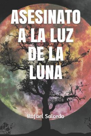 Könyv Asesinato a la Luz de la Luna Rafael Alejandro Salcedo Garrote