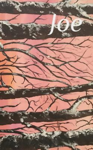 Livro Joe Joe Giannunzio Sr