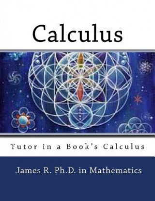 Książka Tutor in a Book's Calculus James R