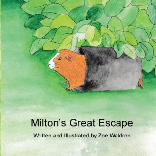 Boek Milton's Great Escape Zoe Waldron
