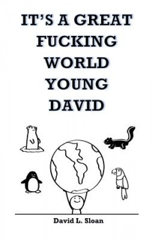 Könyv It's A Great Fucking World, Young David David Sloan