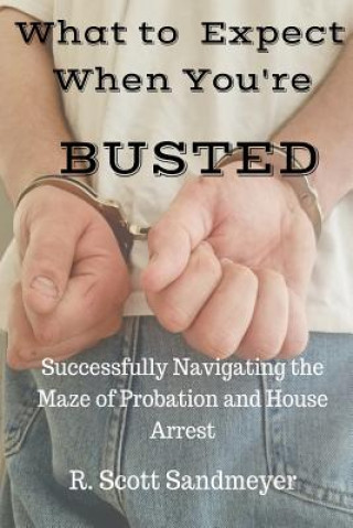 Könyv What To Expect When You're Busted: Successfully Navigating the Maze of Probation and House Arrest R Scott Sandmeyer