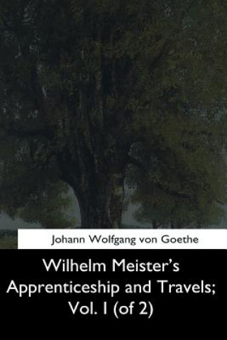 Kniha Wilhelm Meister's Apprenticeship and Travels, Vol. I (of 2) Johann Wolfgang Von Goethe