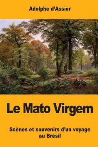 Könyv Le Mato Virgem: Sc?nes et souvenirs d'un voyage au Brésil Adolphe D'Assier