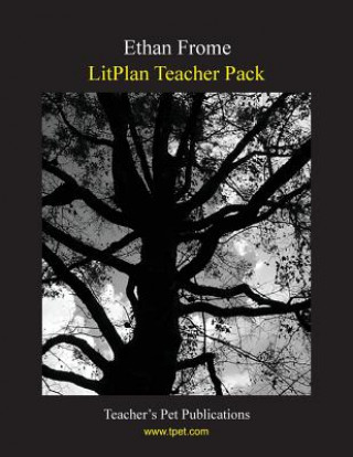 Carte Litplan Teacher Pack: Ethan Frome Jill Bloomfield