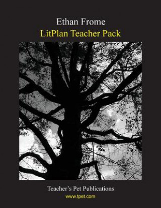 Kniha Litplan Teacher Pack: Ethan Frome Jill Bloomfield