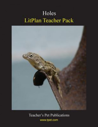 Knjiga Litplan Teacher Pack: Holes Marion B Hoffman