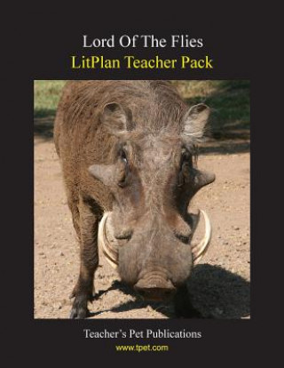 Kniha Litplan Teacher Pack: Lord of the Flies Mary B Collins