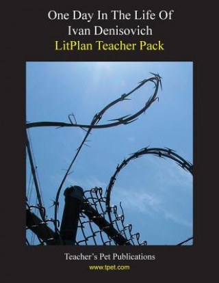 Książka Litplan Teacher Pack: One Day in the Life of Ivan Denisovich Mary B Collins