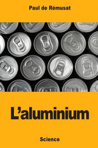 Könyv L'aluminium Paul De Remusat