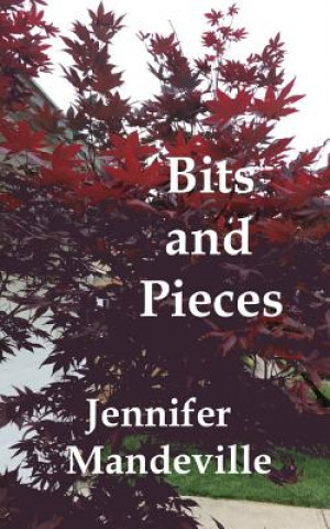 Книга Bits and Pieces: A Young Girl's Musings Jennifer Marie Mandeville