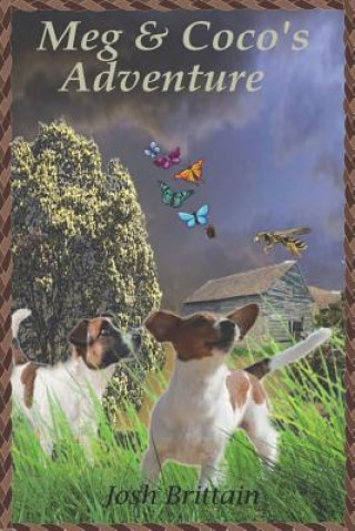 Knjiga Meg & Coco's Adventure Josh Brittain
