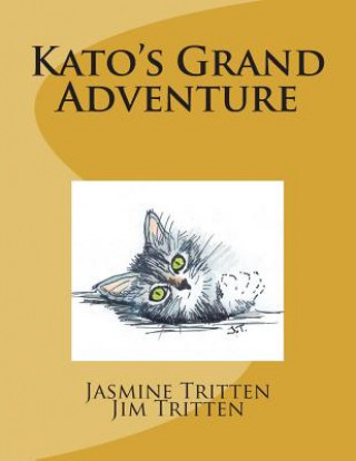 Livre Kato's Grand Adventure Jasmine Tritten LLC