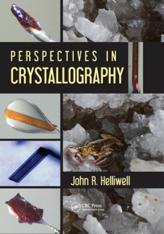 Kniha Perspectives in Crystallography John R. Helliwell