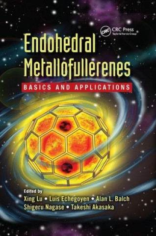 Kniha Endohedral Metallofullerenes Xing Lu