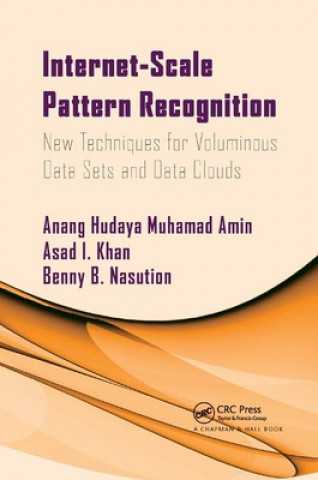 Buch Internet-Scale Pattern Recognition Anang Muhamad Amin