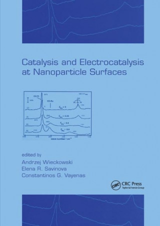 Kniha Catalysis and Electrocatalysis at Nanoparticle Surfaces Andrzej Wieckowski
