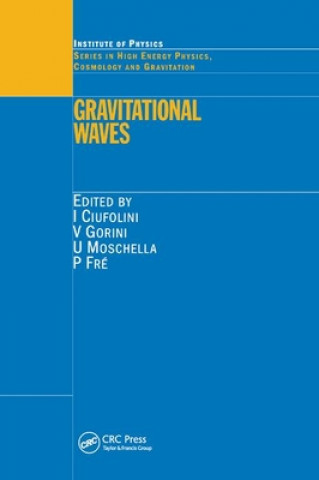 Könyv Gravitational Waves Ignazio Ciufolini