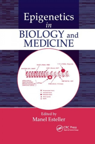 Kniha Epigenetics in Biology and Medicine Manel Esteller