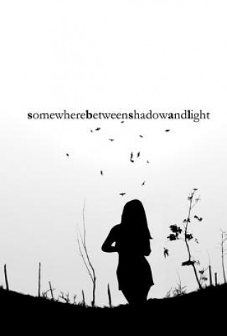 Knjiga somewhere between shadow and light Mariesa Faer