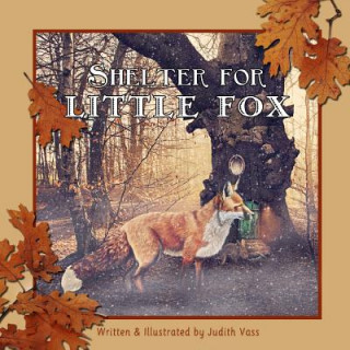 Kniha Shelter for Little Fox Judith Vass