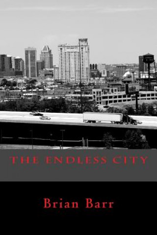 Βιβλίο The Endless City Brian Barr