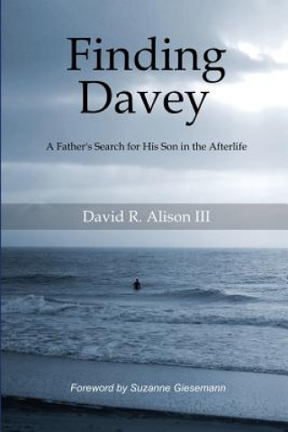 Knjiga Finding Davey: A father's search for his son in the afterlife David Reese Alison III