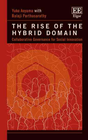 Kniha Rise of the Hybrid Domain Yuko Aoyama