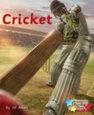 Kniha Cricket 
