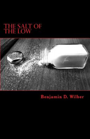 Könyv The Salt of the Low: A man's reflective journey through failed relationships Benjamin D Wilber