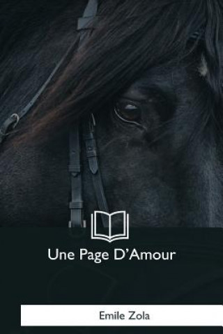 Book Une Page D'Amour Émile Zola