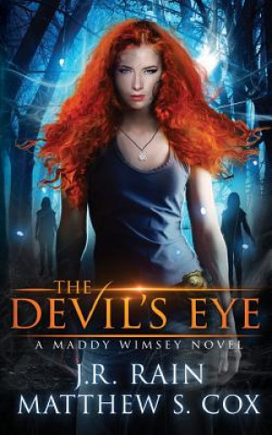 Book The Devil's Eye J R Rain