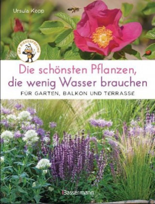 Carte Die schönsten Pflanzen, die wenig Wasser brauchen für Garten, Balkon und Terrasse - 66 trockenheitsverträgliche Stauden, Sträucher, Gräser und Blumen, Ursula Kopp