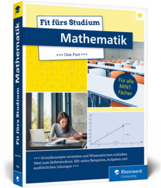 Kniha Fit fürs Studium - Mathematik Uwe Post