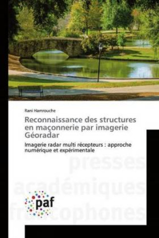 Книга Reconnaissance des structures en maconnerie par imagerie Georadar Rani Hamrouche