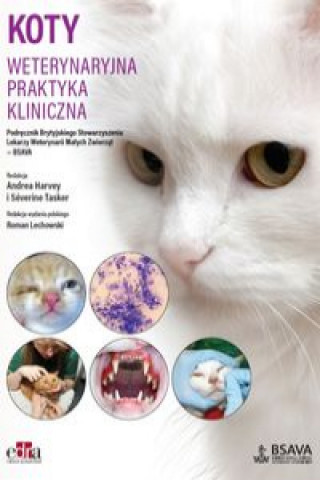 Kniha Koty. Weterynaryjna praktyka kliniczna Harvey A.