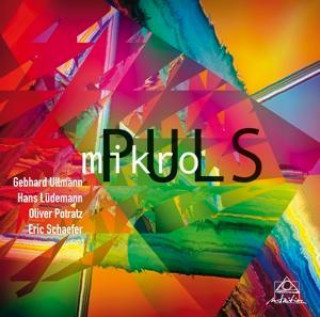 Zvok mikroPULS Gebhard/Lüdemann Mikropuls (Ullmann