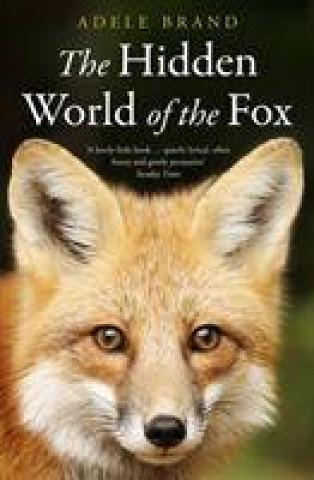 Könyv Hidden World of the Fox Adele Brand
