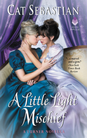 Könyv A Little Light Mischief: A Turner Novella Cat Sebastian