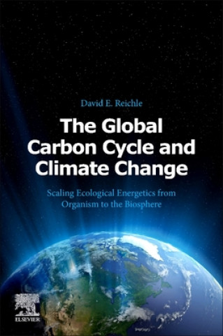 Kniha Global Carbon Cycle and Climate Change David Reichle