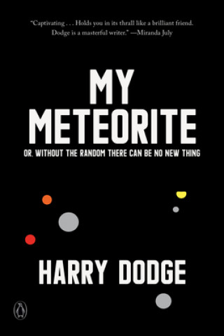 Könyv My Meteorite Harry Dodge