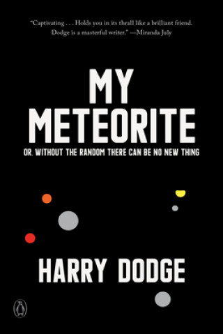 Book My Meteorite Harry Dodge