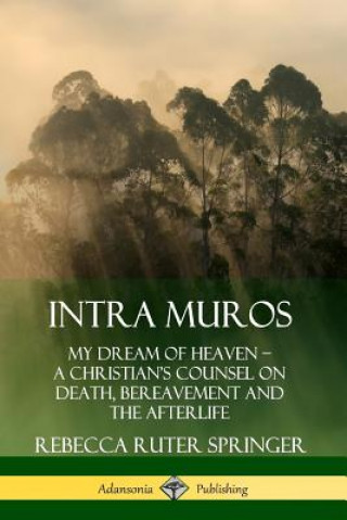 Kniha Intra Muros: My Dream of Heaven - A Christian's Counsel on Death, Bereavement and the Afterlife Rebecca Ruter Springer