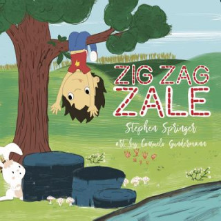 Book Zig Zag Zale Stephen Springer